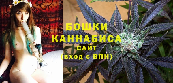 дживик Богородск