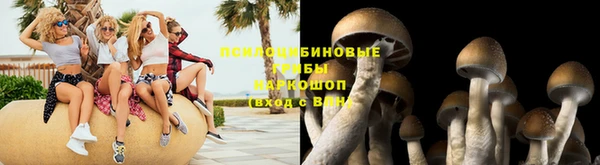 МДПВ Богданович