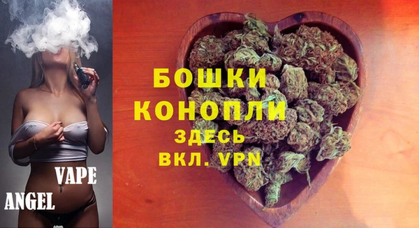 МДПВ Богданович