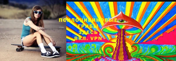 дживик Богородск