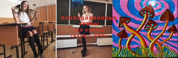 дживик Богородск
