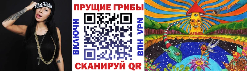 Галлюциногенные грибы Psilocybe  Купить закладки  Лахденпохья 